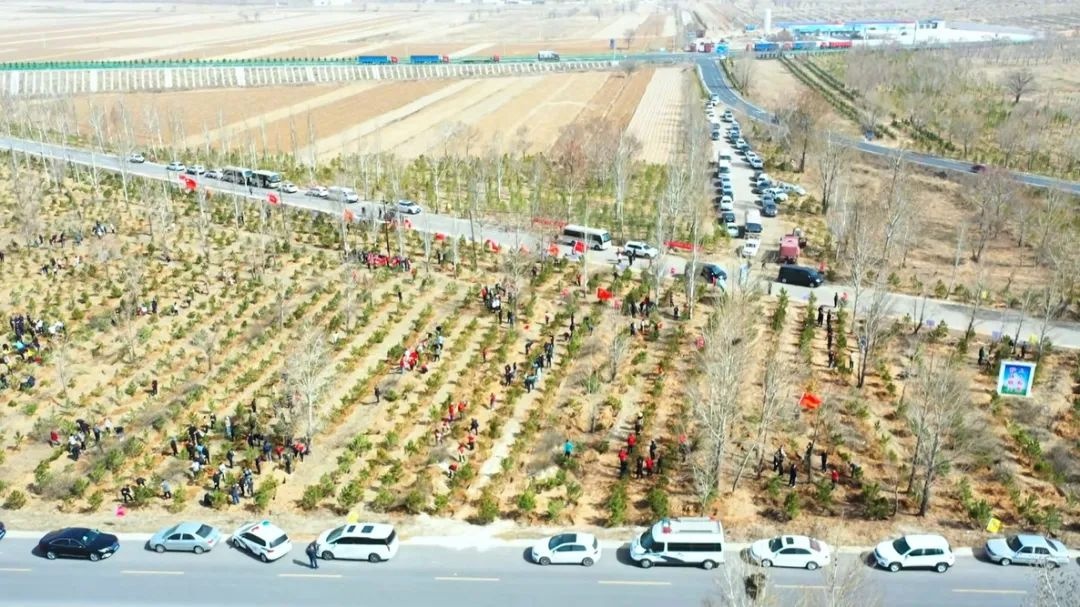内蒙古大地春潮涌动！全民植树热潮席卷城乡，你参与了吗？  第5张