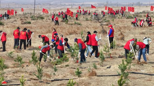 内蒙古大地春潮涌动！全民植树热潮席卷城乡，你参与了吗？  第6张