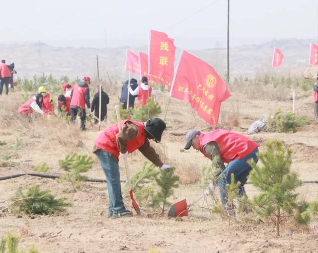 内蒙古大地春潮涌动！全民植树热潮席卷城乡，你参与了吗？  第7张