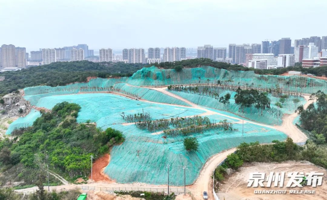 泉州观音山废弃矿坑如何变身16万平方米生态屏障？  第2张