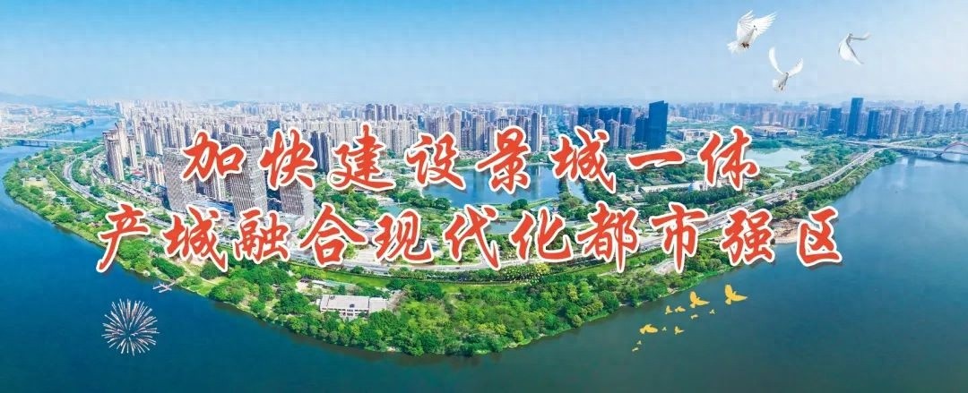 朝阳街道如何打造宜居环境？279吨垃圾清理背后隐藏了什么秘密