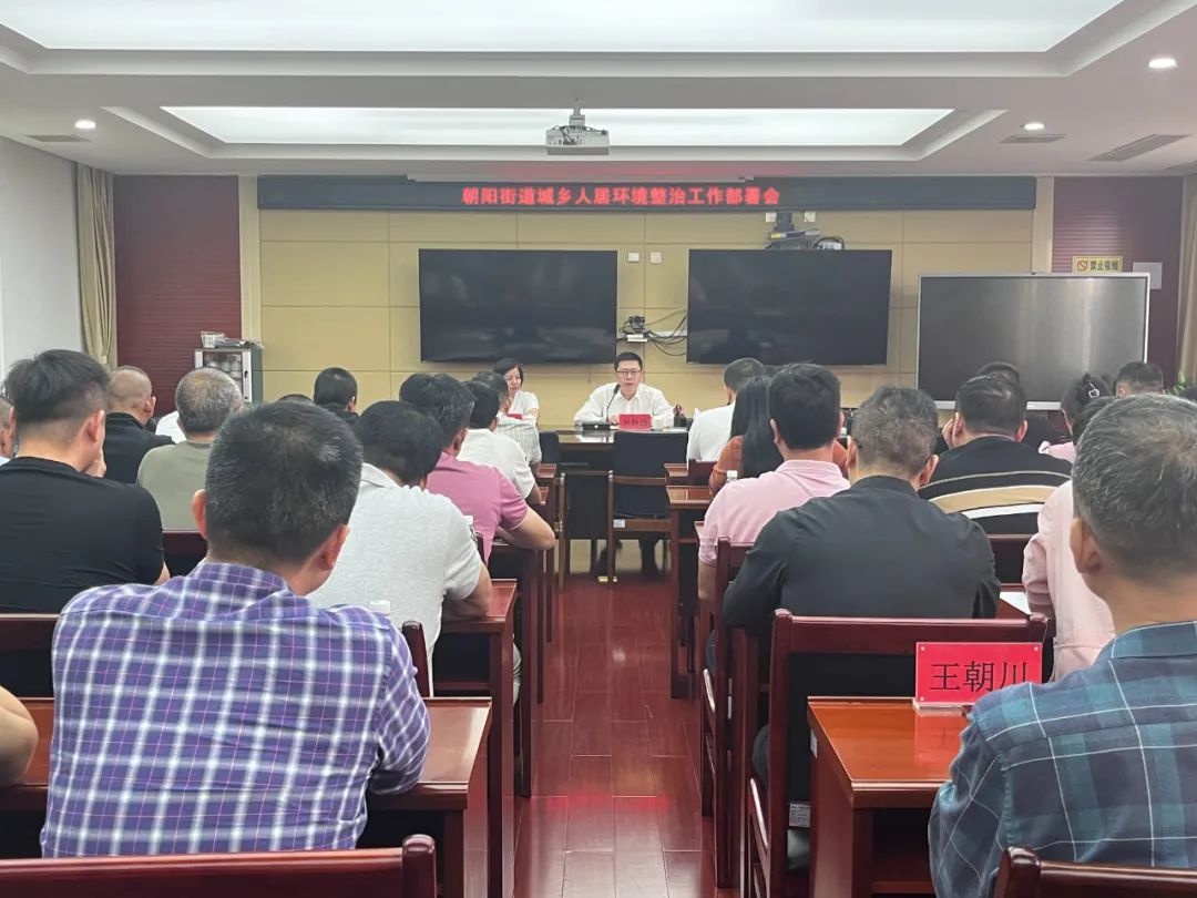 朝阳街道如何打造宜居环境？279吨垃圾清理背后隐藏了什么秘密  第2张
