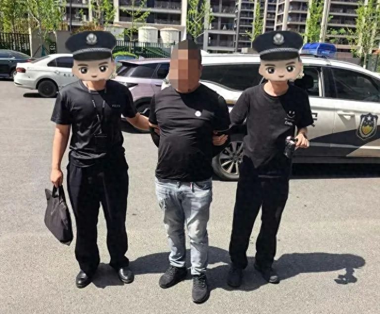 农村惊现飞檐大盗！警方如何突破重重困境将其绳之以法？