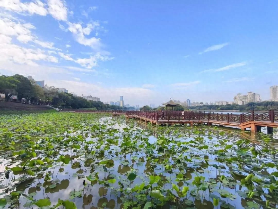 谷雨节气来袭！广西将迎来两股冷空气，暴雨降温即将上演？
