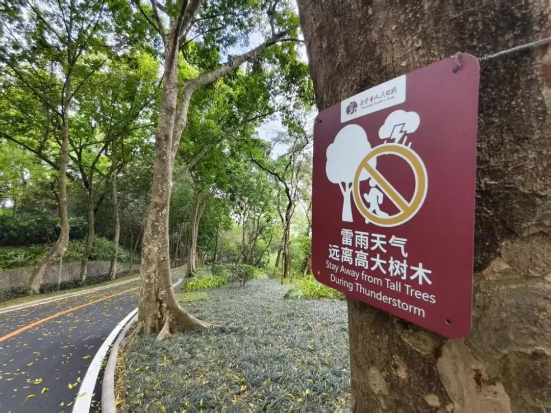 谷雨节气来袭！广西将迎来两股冷空气，暴雨降温即将上演？  第2张