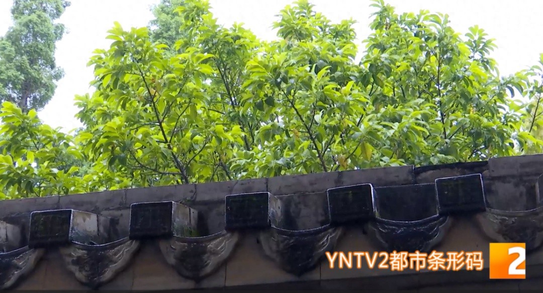 谷雨来临，云南气温飙升！你的春耕计划准备好了吗？