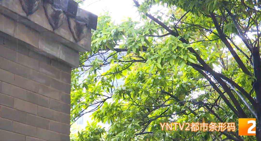 谷雨来临，云南气温飙升！你的春耕计划准备好了吗？  第2张