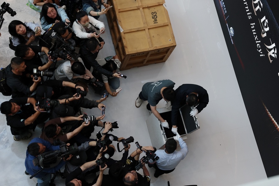 5月底震撼来袭！龙吟九州·中国恐龙大展118件标本将亮相上海？  第2张