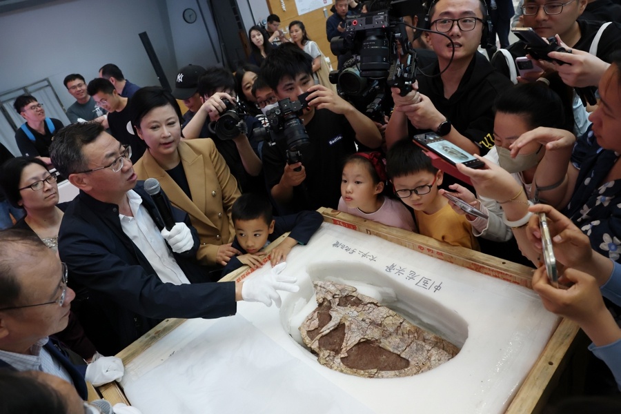5月底震撼来袭！龙吟九州·中国恐龙大展118件标本将亮相上海？  第6张