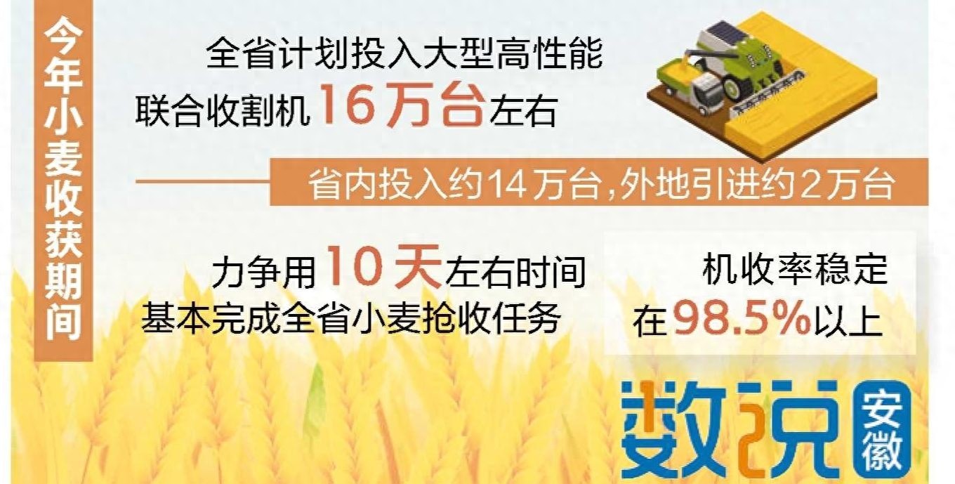 风吹麦田千层浪，小麦抢收大战即将打响？机收率目标 98.5%