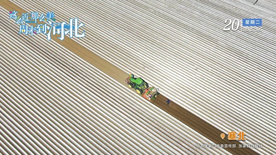 河北省首批生物多样性体验地授牌！康巴诺尔国家湿地公园为何获殊荣？  第4张