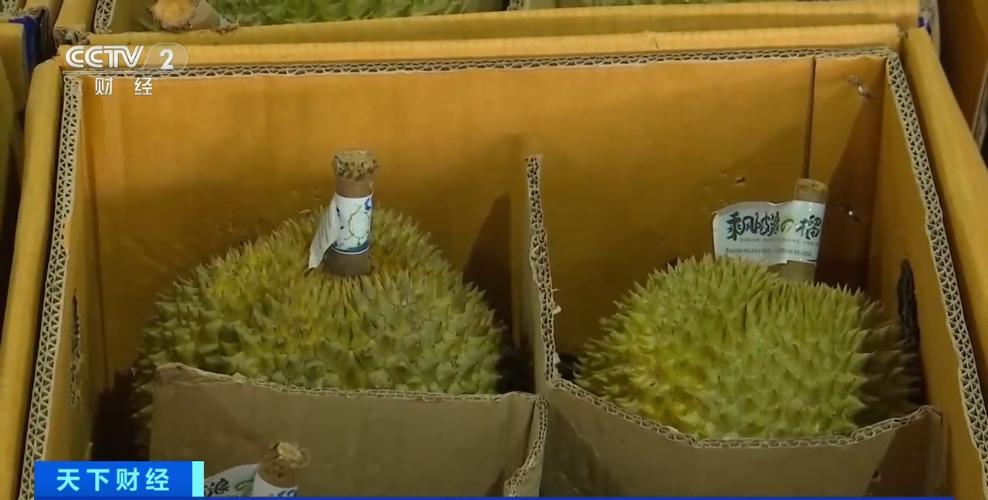 东南亚水果贸易旺季来临！泰国榴莲大量进口，价格会咋变？  第2张