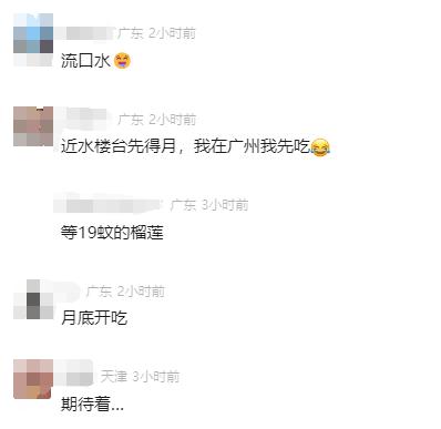 东南亚水果贸易旺季来临！泰国榴莲大量进口，价格会咋变？  第5张