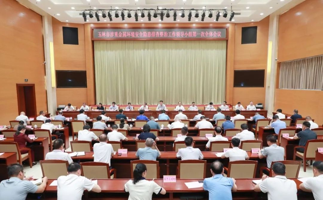 玉林大力开展八项专项行动排查整治涉重金属环境风险？守护绿水青山  第2张
