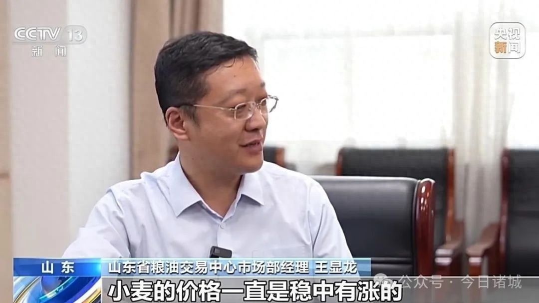 小麦还在地里就被买走！竞价平台透露出啥新变化？价格如何？