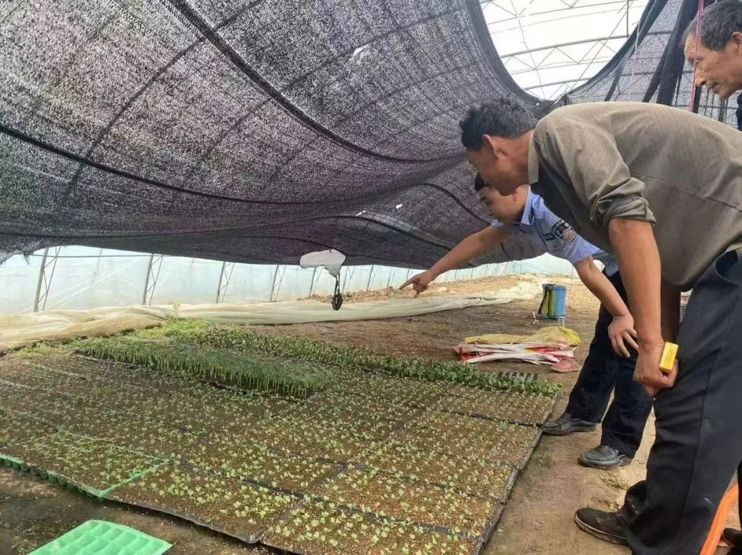 毒品危害猛如虎！农村禁毒刻不容缓，你知道该咋防吗？  第4张
