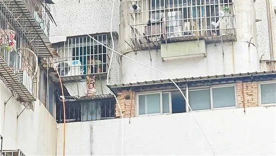 江门女童被困4楼防盗窗外，邻居与消防接力营救！你知道怎么做到的？  第2张