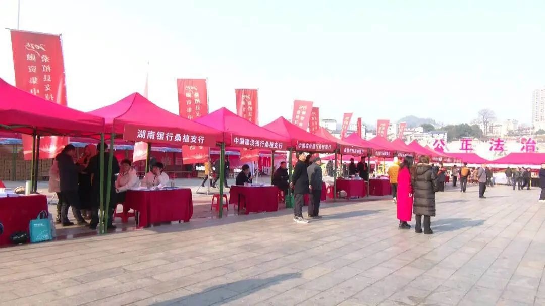 小微企业融资难题如何破解？桑植县10家银行联手推出重磅政策  第2张