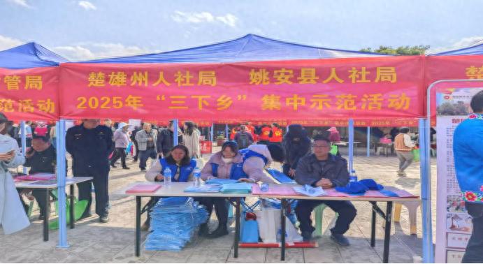 姚安县三下乡活动大揭秘：人社政策如何温暖寒冬？送政策、送岗位、送服务全解析