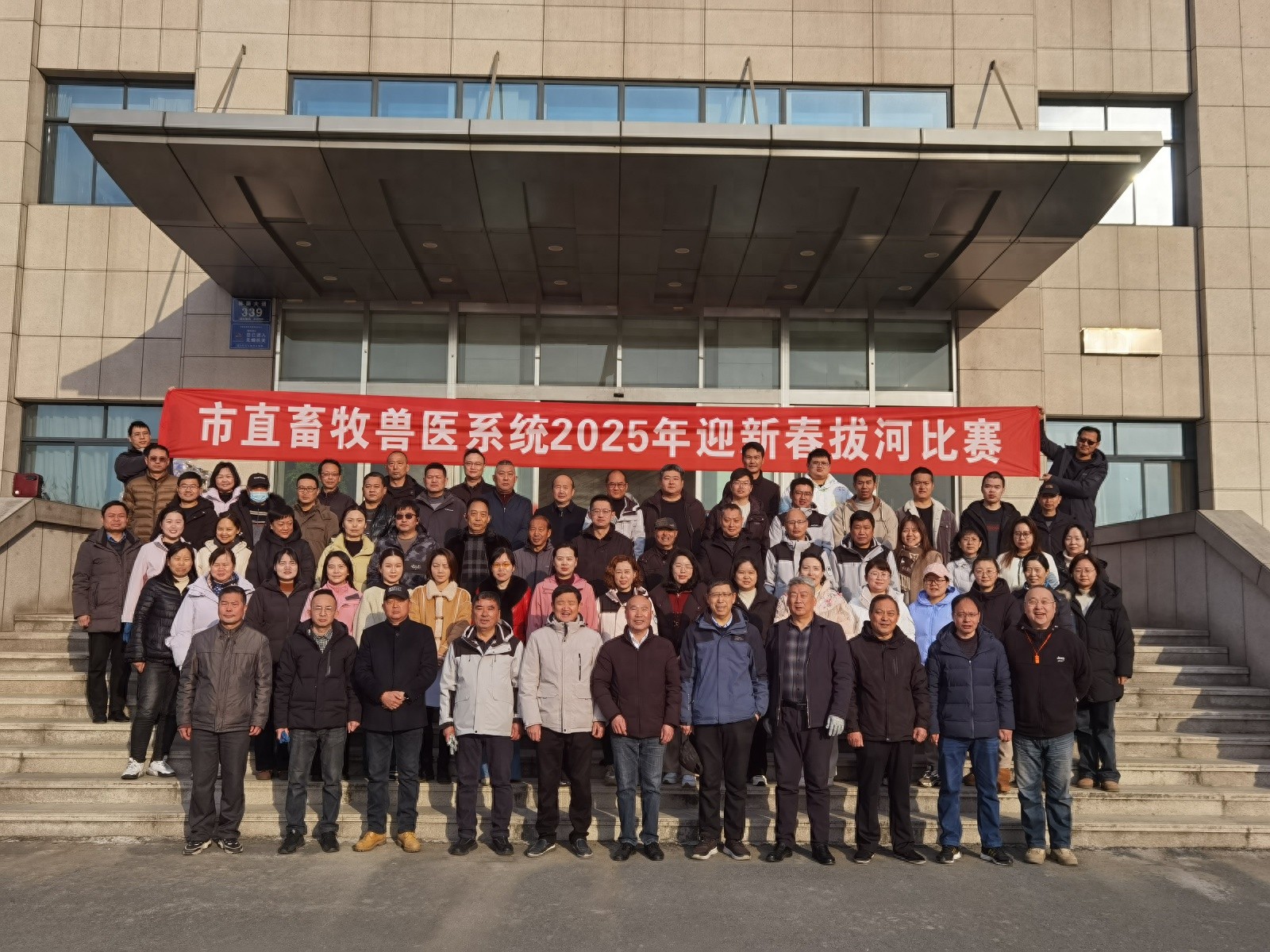 新春拔河赛：5支队伍激烈对决，谁能拔得头筹？