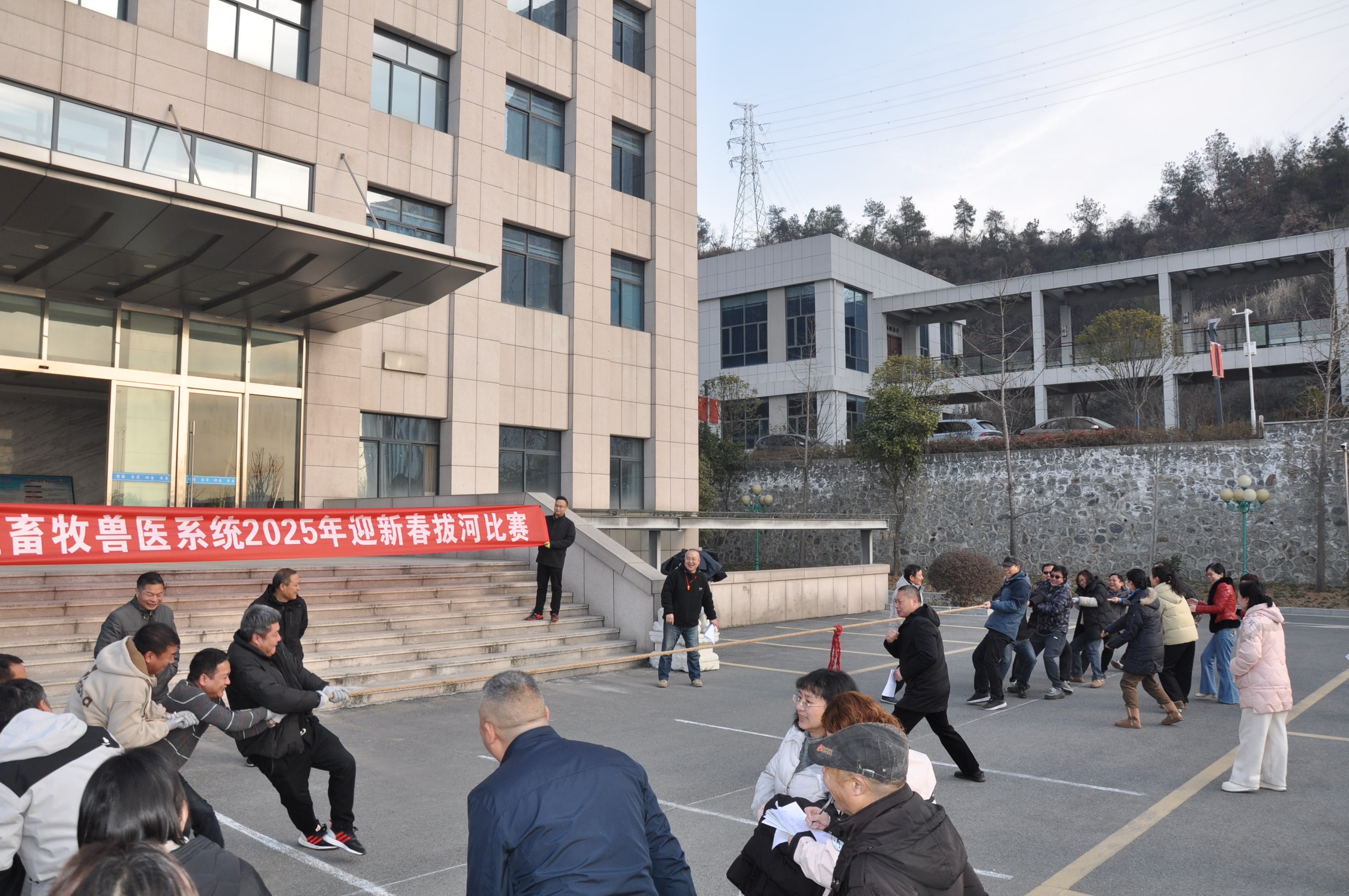 新春拔河赛：5支队伍激烈对决，谁能拔得头筹？  第2张
