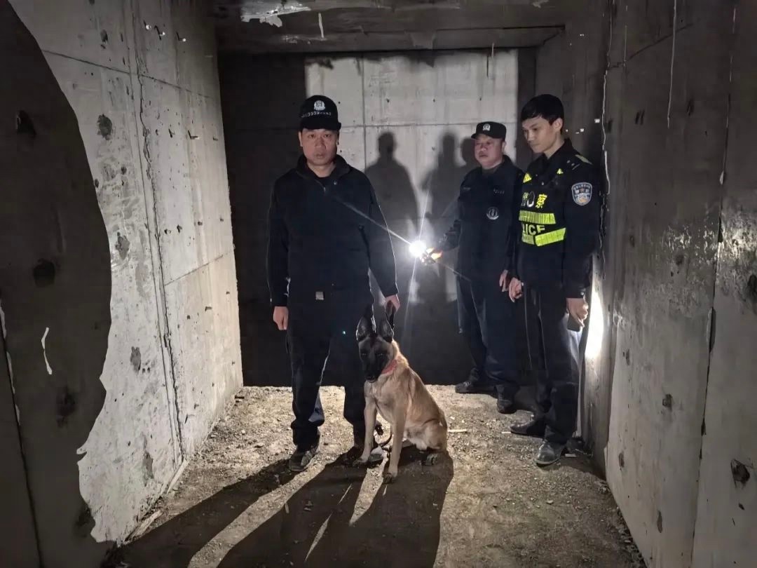 工友失踪20小时，山林搜救惊心动魄！余师傅能否平安归来？