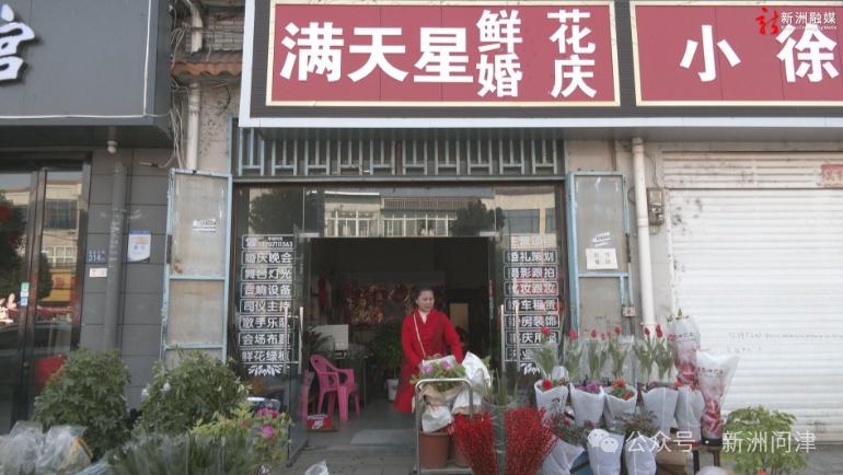 春节将至，长寿花为何成为年宵花市场的宠儿？揭秘其背后的美丽经济  第2张