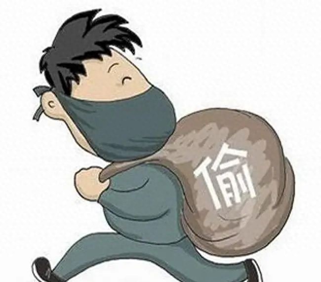 年终小偷冲业绩，盐源公安半小时破案！你的财物安全了吗？