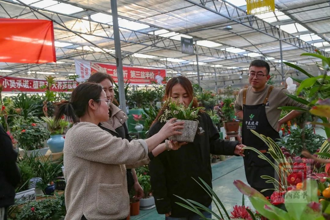 新年到，花卉俏！东城街花卉市场为何成为市民迎春首选？  第7张