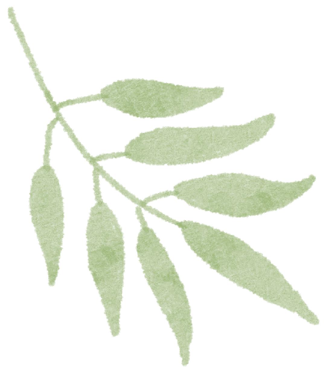 春节将至，城市管理办公室如何确保道路安全与环保？揭秘背后的严格部署