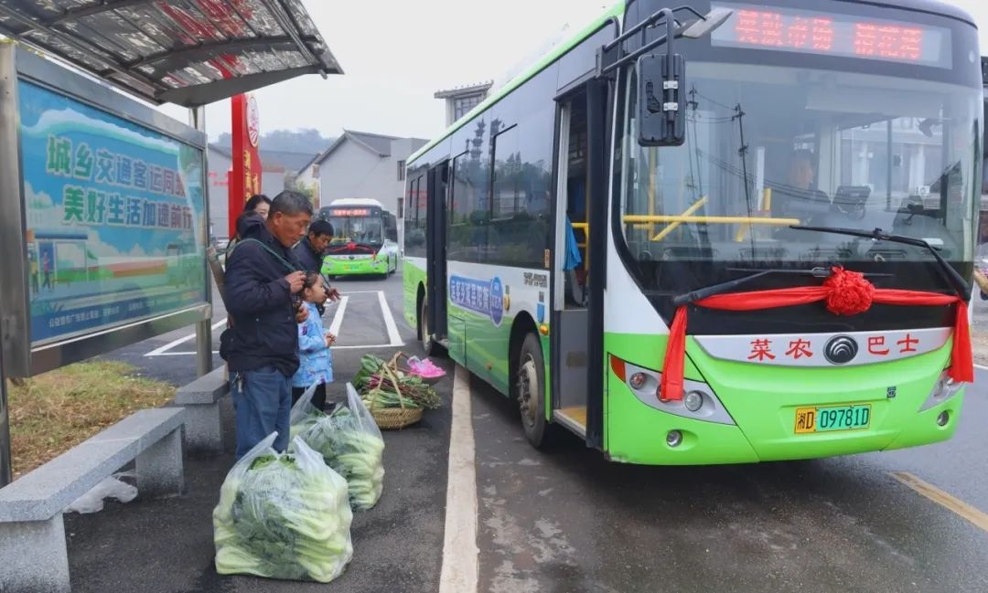 衡阳县菜农的清晨之旅：菜农巴士如何改变他们的生活？  第2张