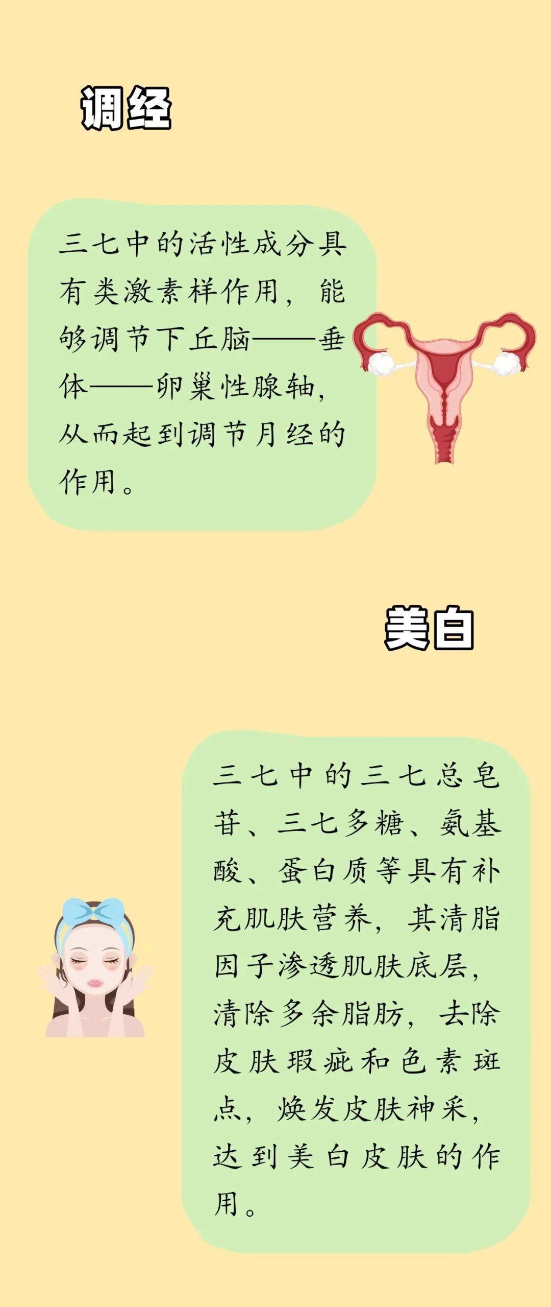 三七不仅是心脑血管的守护神，还是女性美容养颜的秘密武器！你知道吗？  第4张