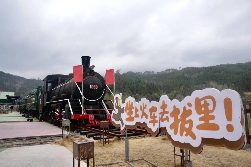 清流县拔里村：从伐木场到旅游胜地，这列火车如何变身为网红打卡地？  第4张