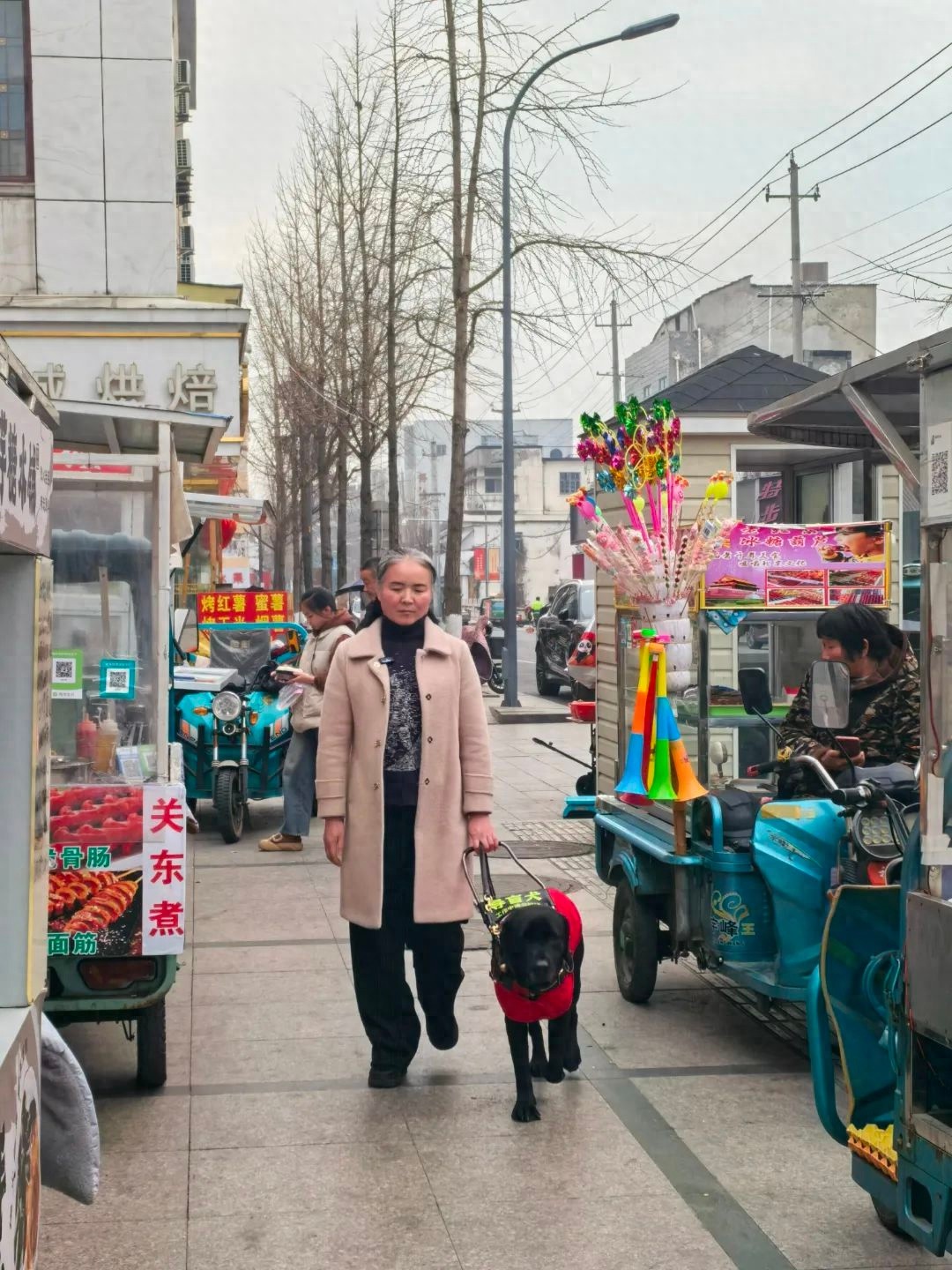 宜兴首只导盲犬noodle，如何改变视障人士的生活？