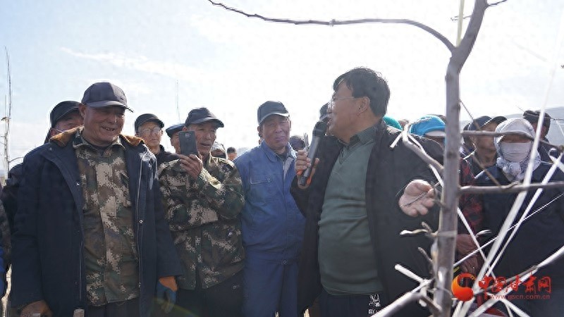 静宁县百万亩苹果园春管培训开启，果农们能否迎来丰收奇迹？