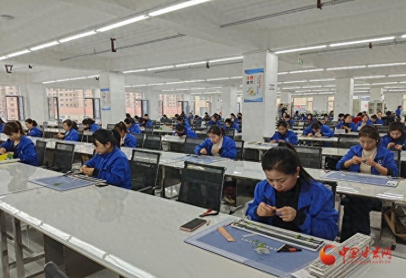 庄浪县民营企业如何在新春伊始展现强劲发展势头？  第1张