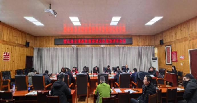 雷山县全域森林康养试点规划通过评审，未来森林康养产业将如何高质高效发展？