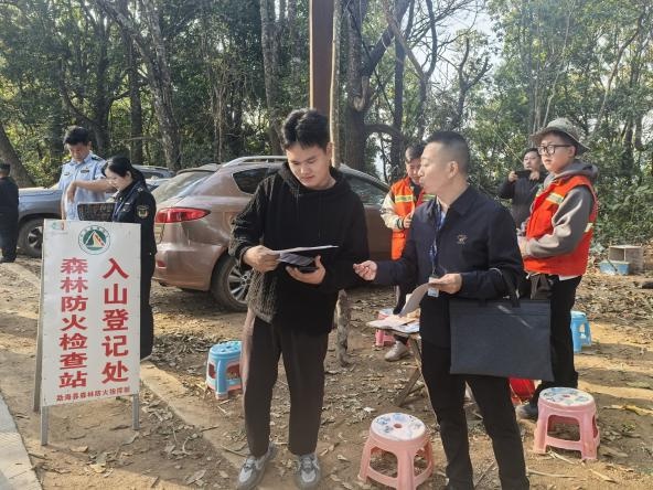 西双版纳严厉打击非法采集兰科植物！你知道这些珍稀植物有多重要吗？  第2张