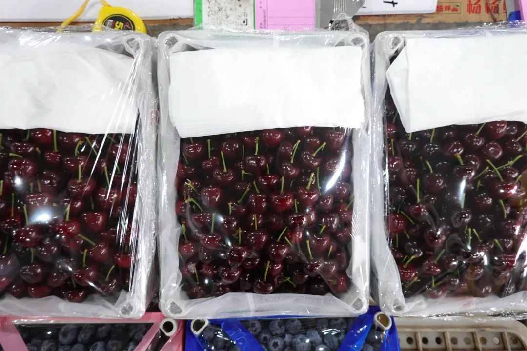 大连美早樱桃上市啦！进口车厘子即将退市，你准备好抢鲜了吗？  第3张