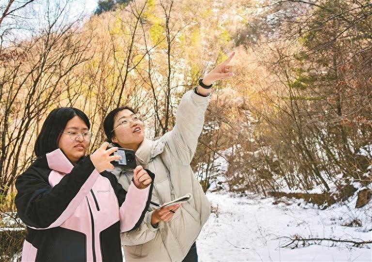 女巡护员陈瑞琳和黄燕：她们如何在14759.5公顷的密林中守护绿色家园？