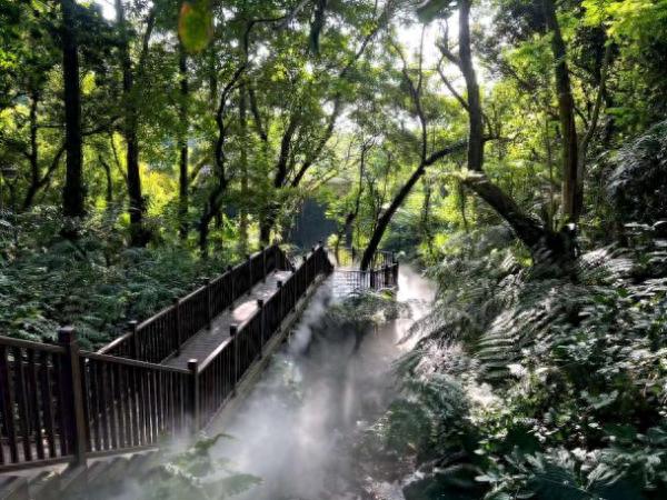深圳仙湖植物园蕨类中心为何能一举夺得最佳园区奖？揭秘其背后的卓越贡献