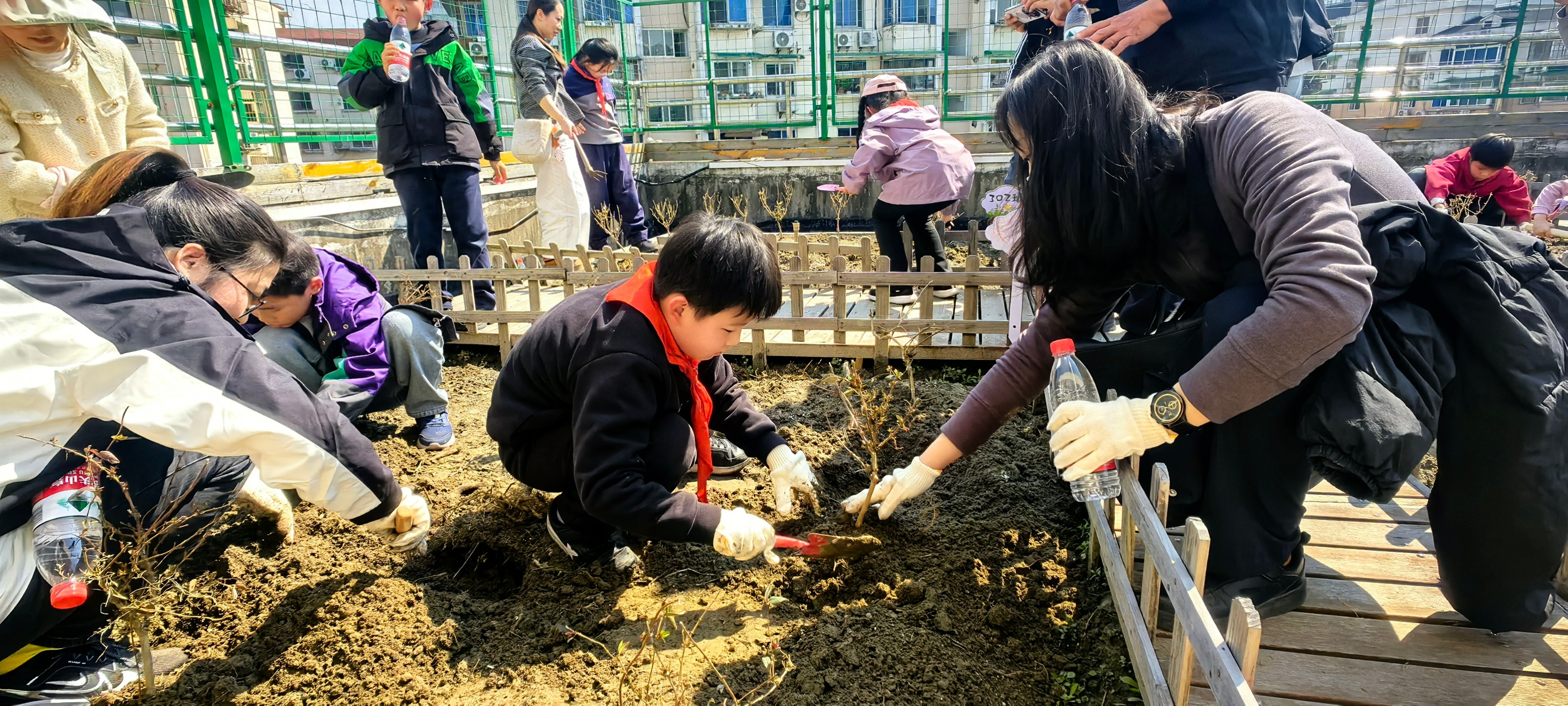 春分日，亲子共植中草药，你也能触摸千年农耕智慧