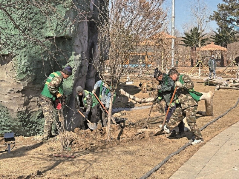 辽源市动植物园春季植树1000余棵，你猜这些树将为城市带来怎样的变化？