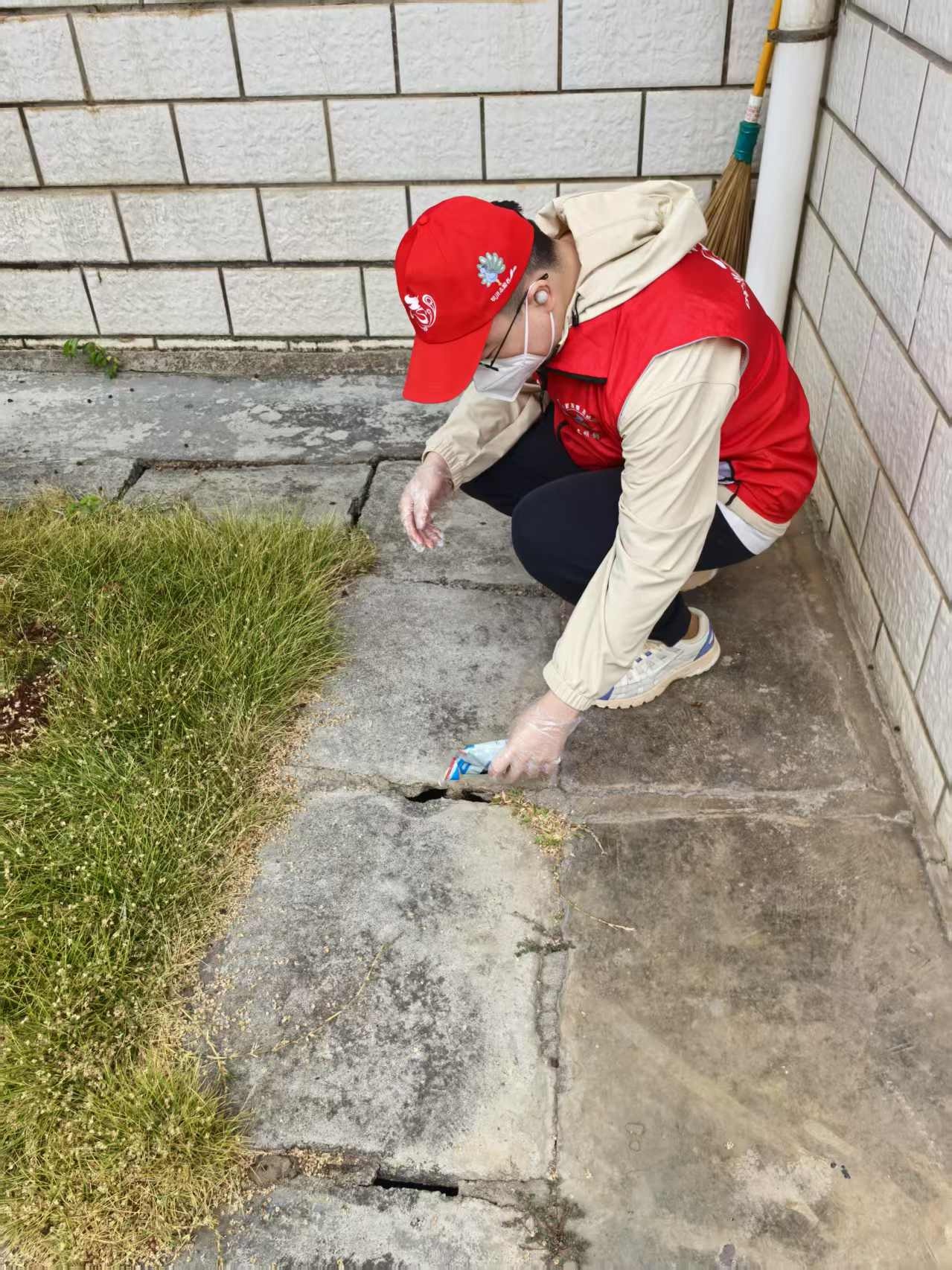纳板河青年行动了！他们如何提前预防登革热，守护我们的健康？  第2张