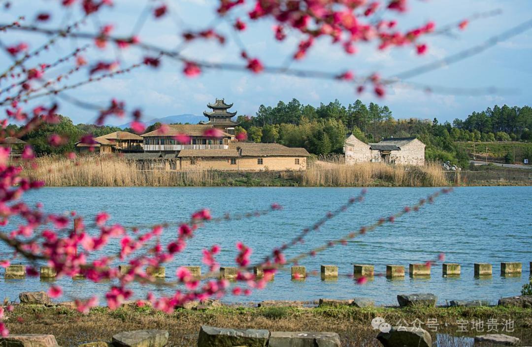 杏花村文化旅游节再启幕！为何每年吸引百万游客蜂拥而至？  第2张