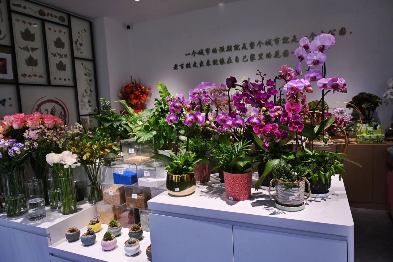 朝阳家园艺驿站揭幕，你准备好探索这片花海中的新世界了吗？  第3张