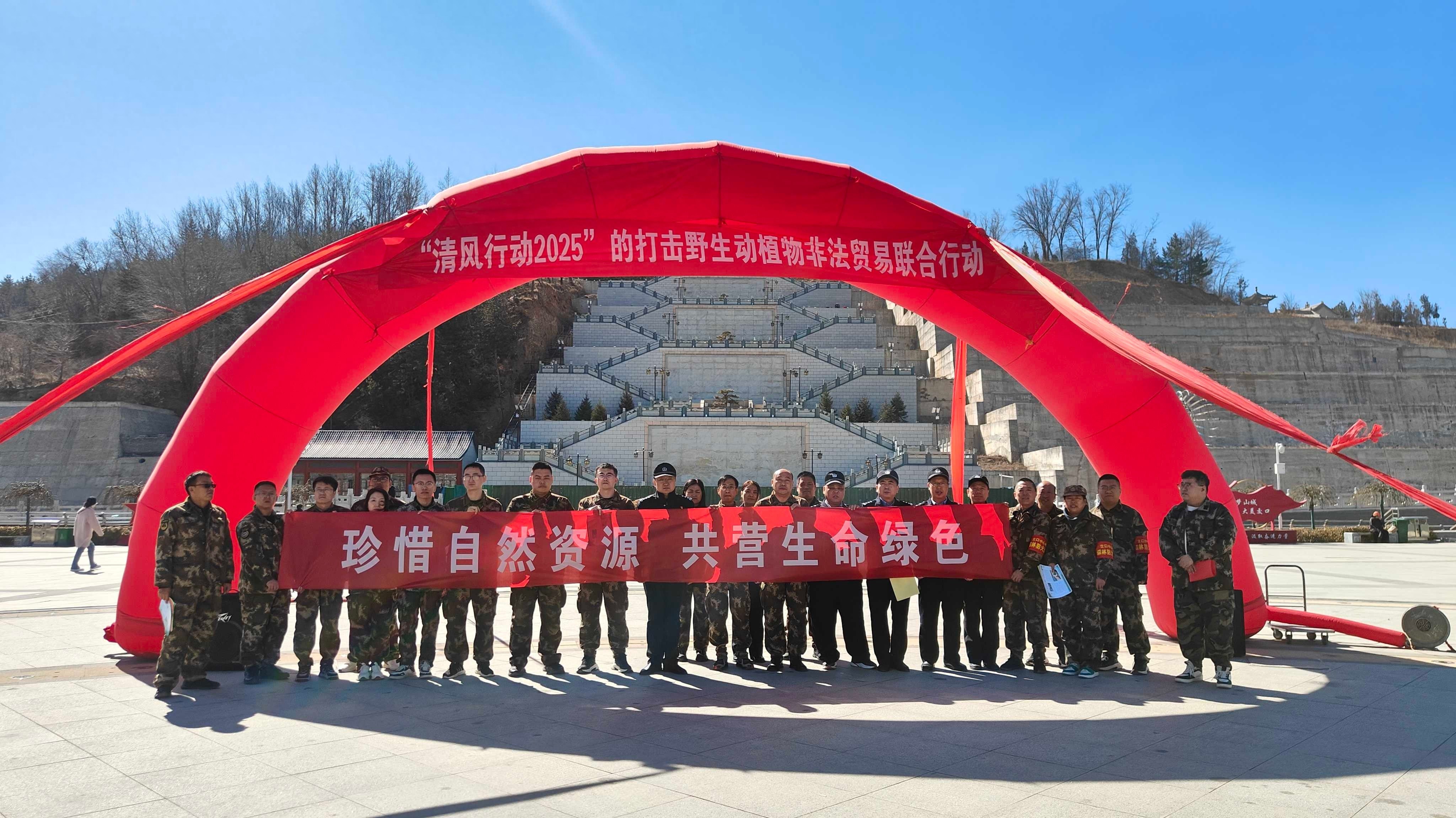 保护野生生命刻不容缓！你知道打击非法贸易的‘清风行动’有多重要吗？