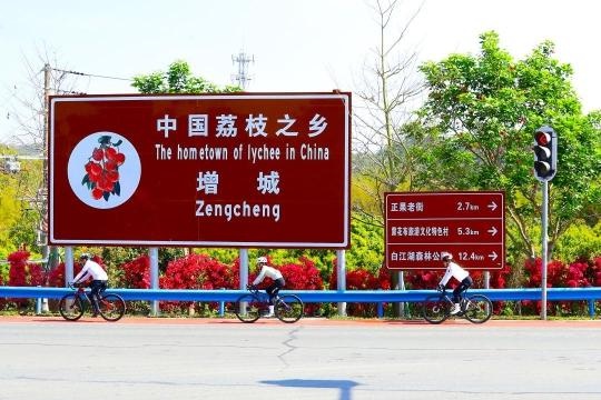广州增城最美旅游公路示范段，骑行爱好者的新天堂！你准备好了吗？  第2张