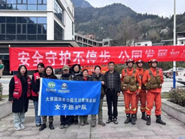 大熊猫国家公园为何开展安全守护不停步活动？揭秘背后的生态保护大计