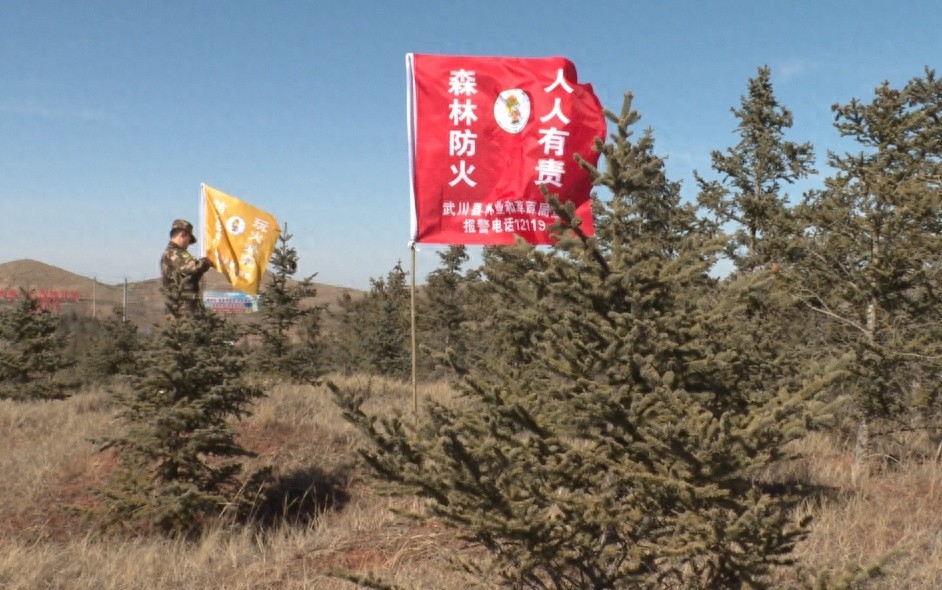 春季森林防火关键期，武川县如何织密安全网？